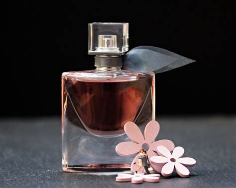 perfumy versace damskie rossmann